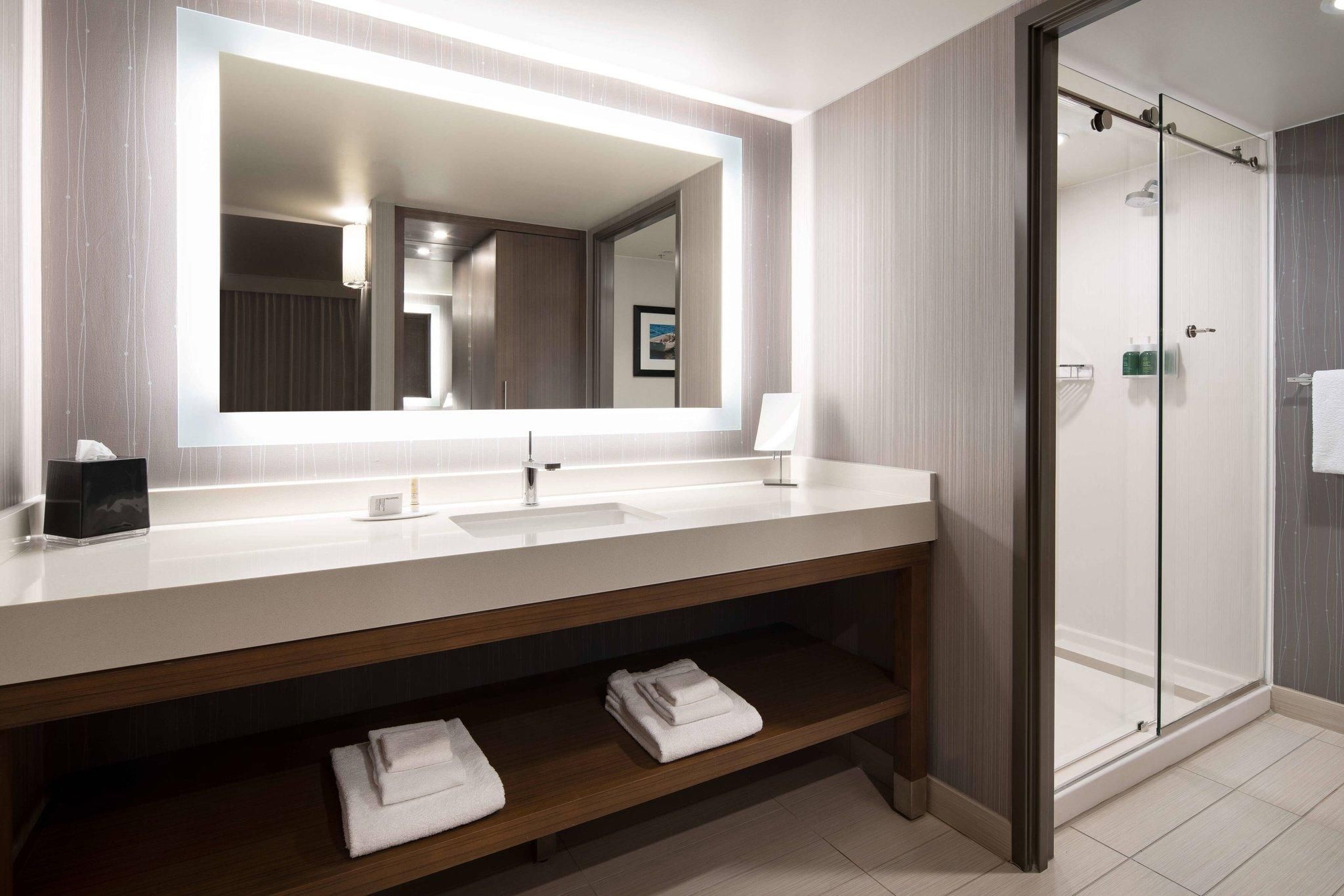 1 Bedroom Suite, 1 King, Sofa bed, Lake view