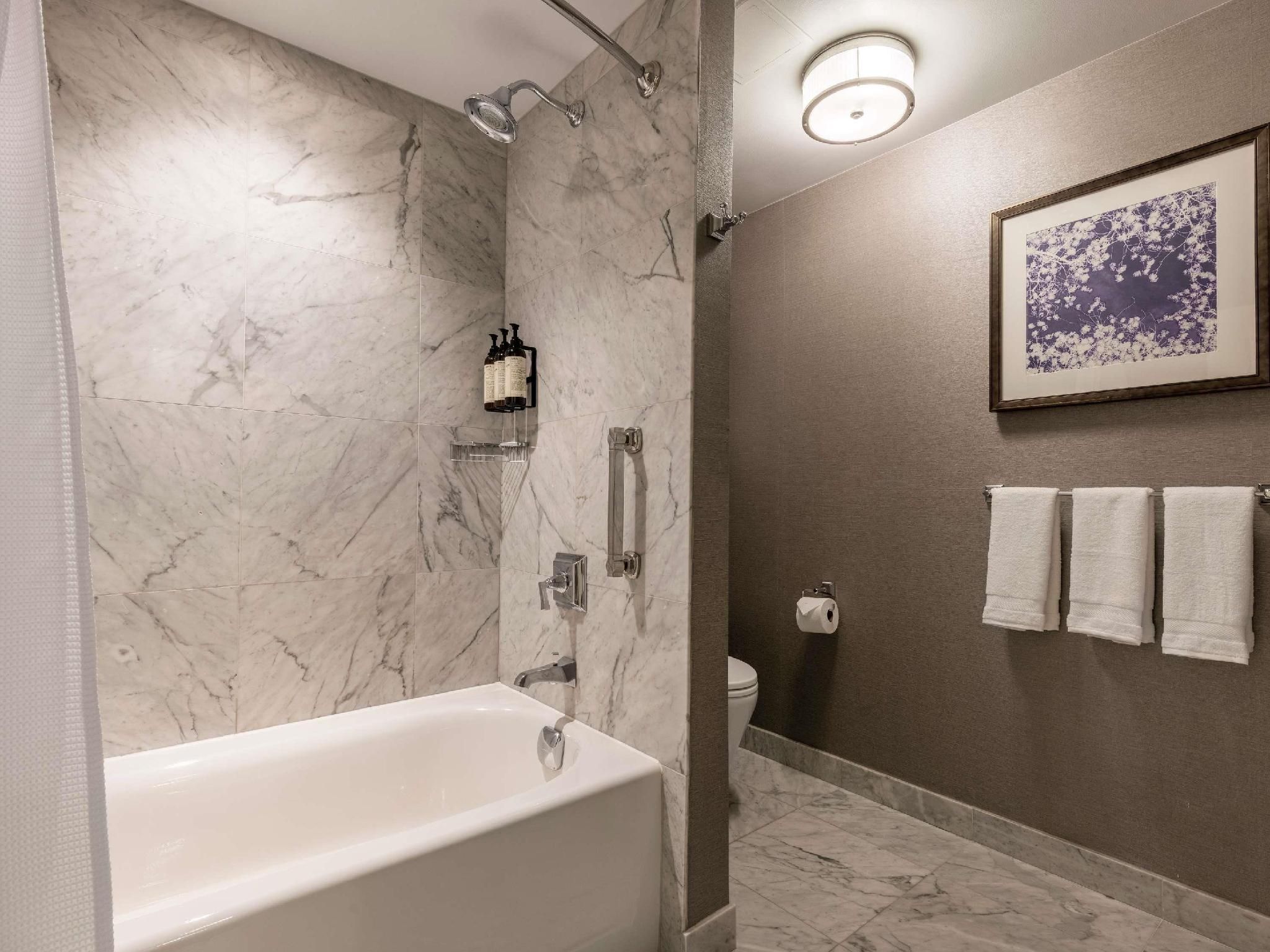 SIGNATURE VIEW 1 KING HEARING ACCESSIBLE- 430SF ,39SM, high floor, signature amenities mini bar