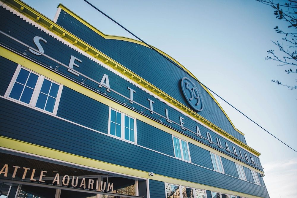 undefined Sheraton Grand Seattle