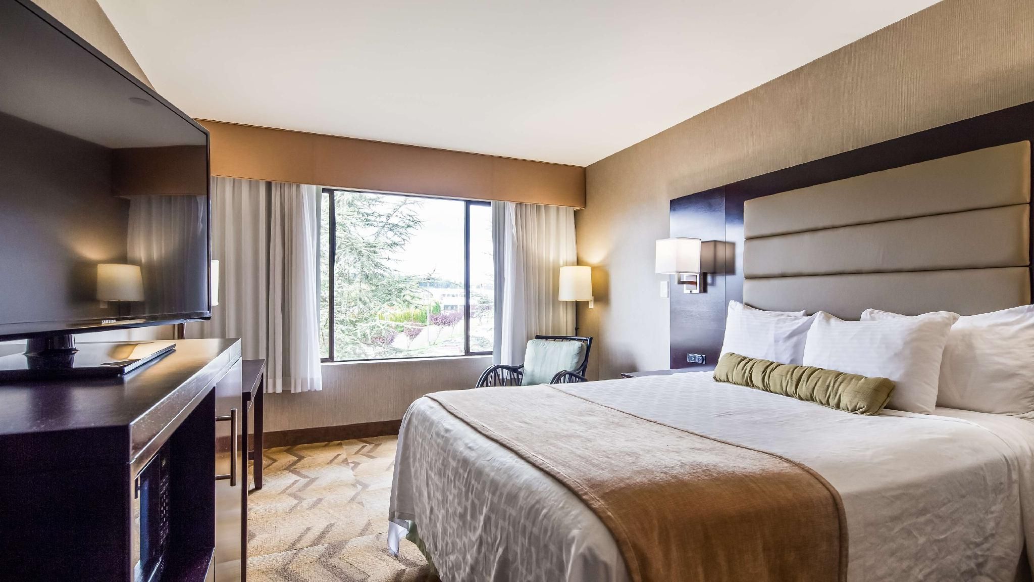 1 King Bed, Nonsmoking, City View
