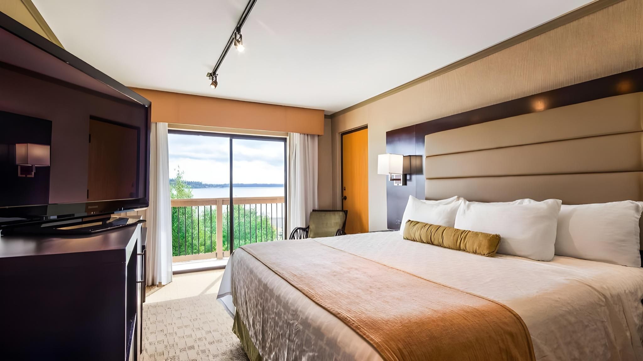 1 king bed, nonsmoking, partial water view, balcony