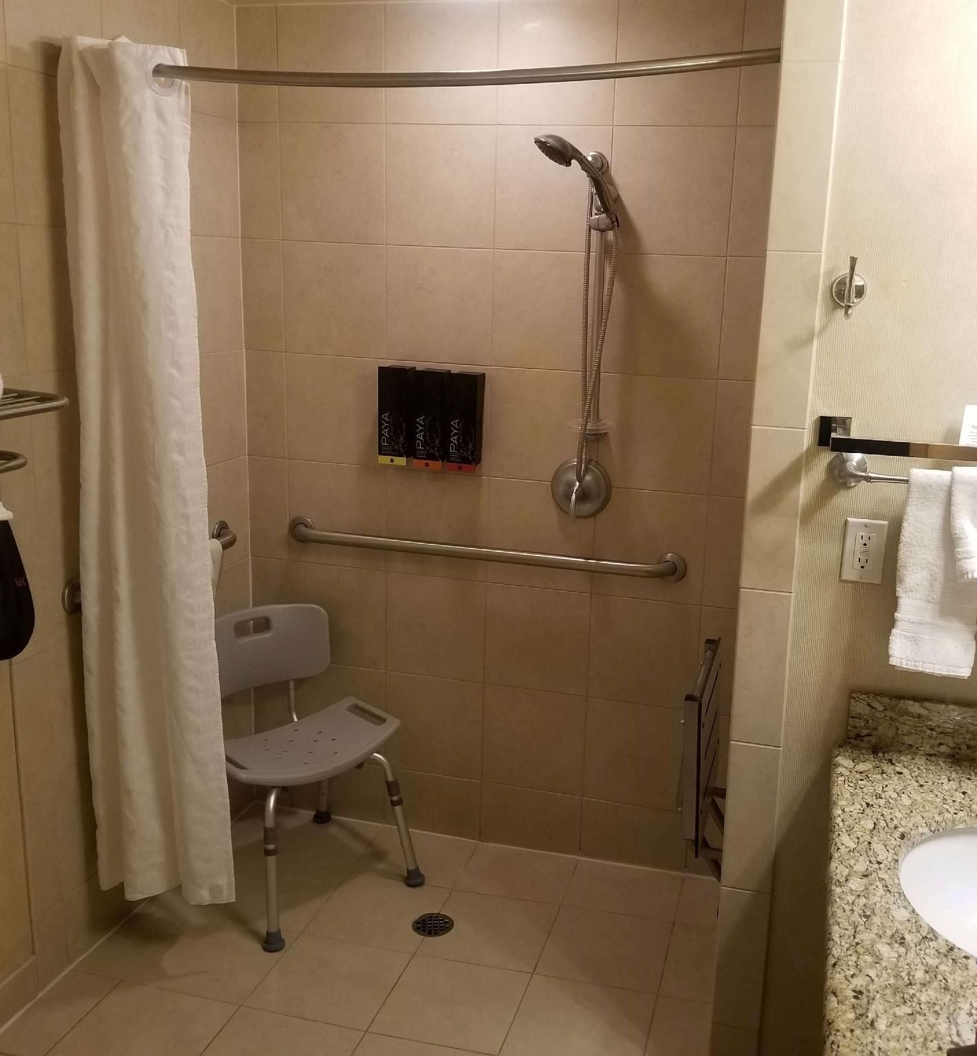Accessibility - 2 Queen Beds, Roll-in Shower, Nonsmoking