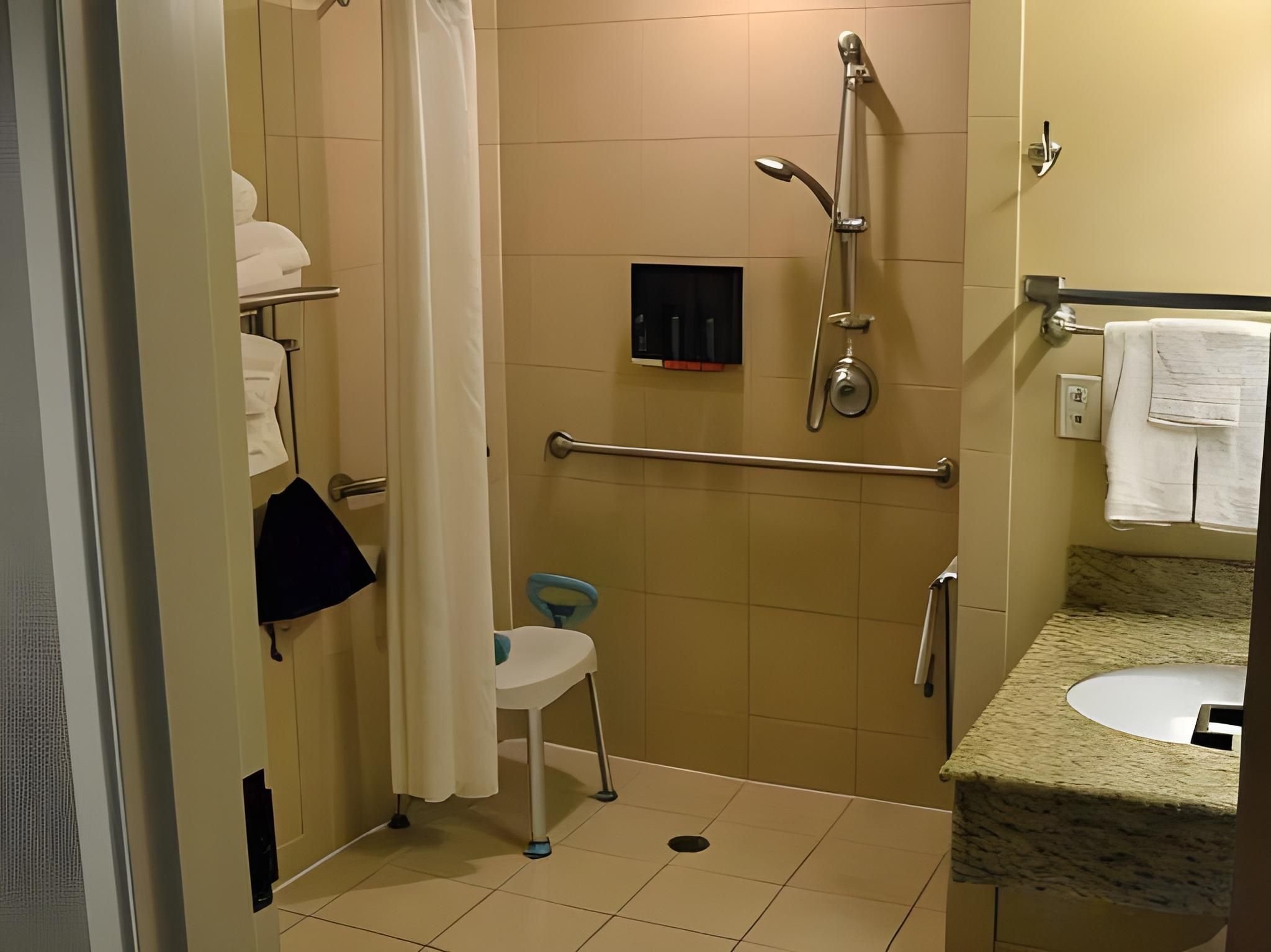 Accessibility - 2 Queen Beds, Roll-in Shower, Nonsmoking