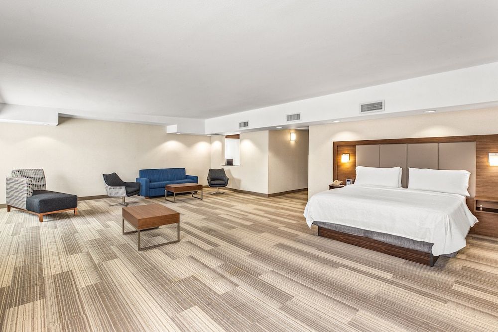 Suite, 1 King Bed (Extra Floor Space)