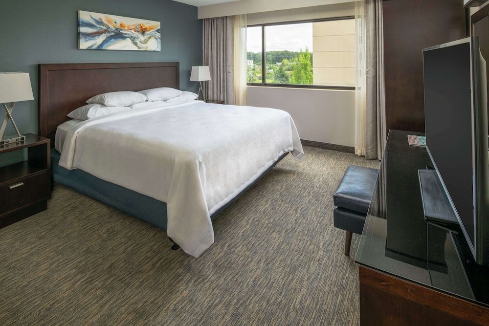 2 Room Suite, 1 King Bed with Queen Sofabed