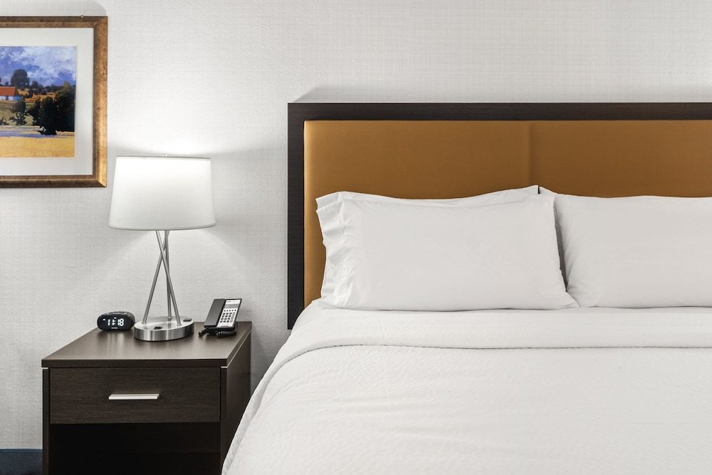 Standard Room, 1 King Bed with Sofa bed