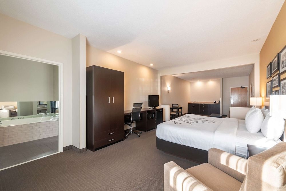 Suite, 1 King Bed with Sofa bed, Non Smoking