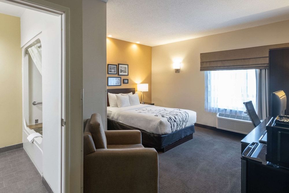 Room, 1 Queen Bed, Accessible, Non Smoking
