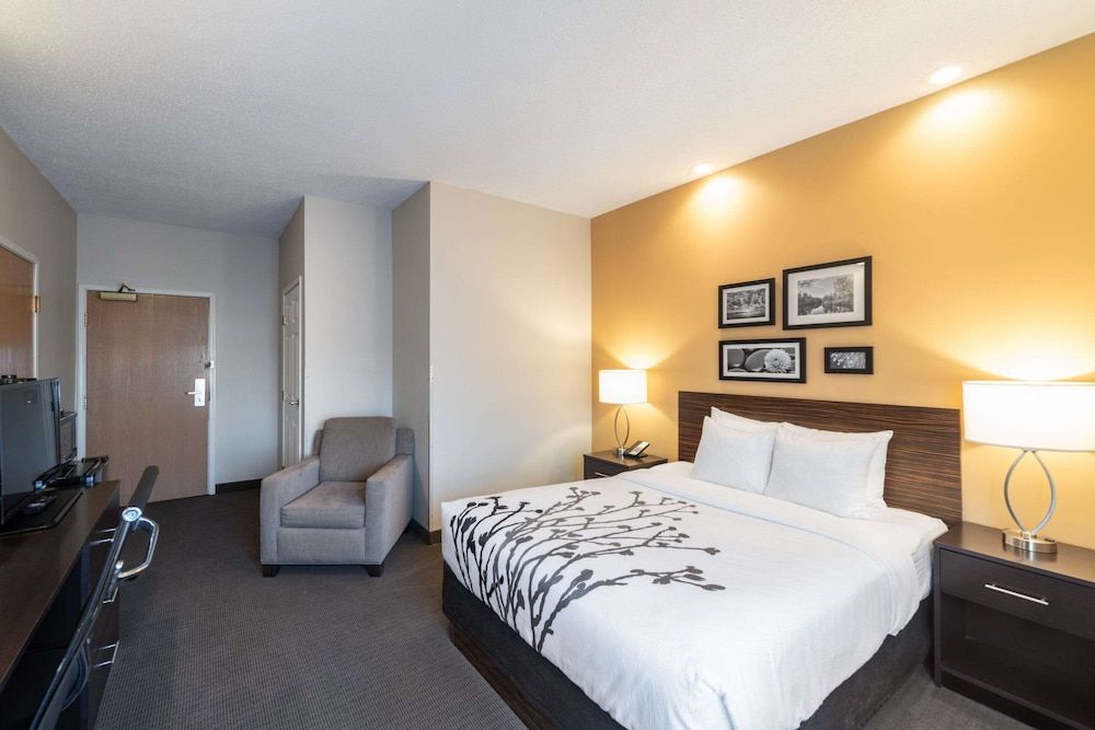 Room, 1 Queen Bed, Accessible, Non Smoking