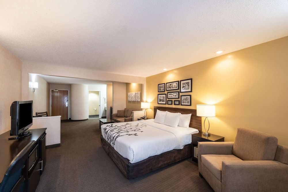 Suite, 1 King Bed, Non Smoking (Upgrade)