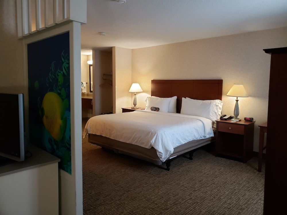 Suite, Multiple Beds (1 Bunk Bed)