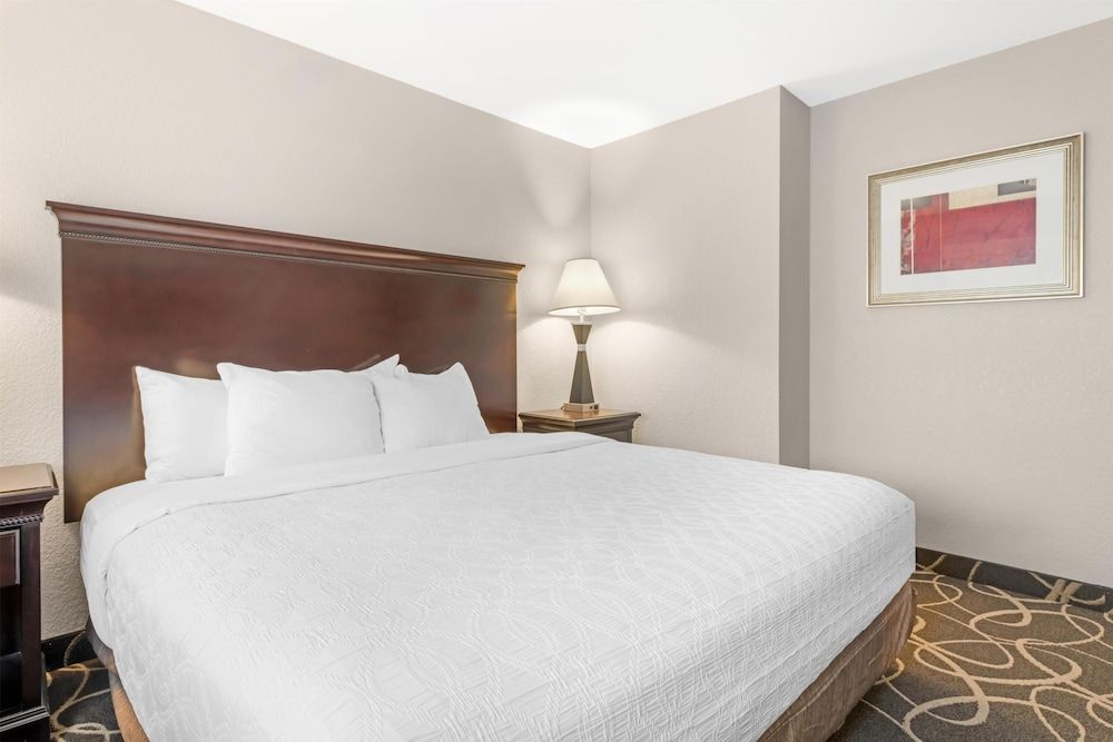 Suite, 1 King Bed with Sofa bed, Non Smoking, Refrigerator & Microwave (with Sofabed)