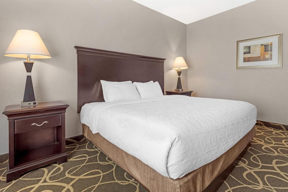 Standard Room, 1 King Bed with Sofa bed, Non Smoking (with Sofabed)