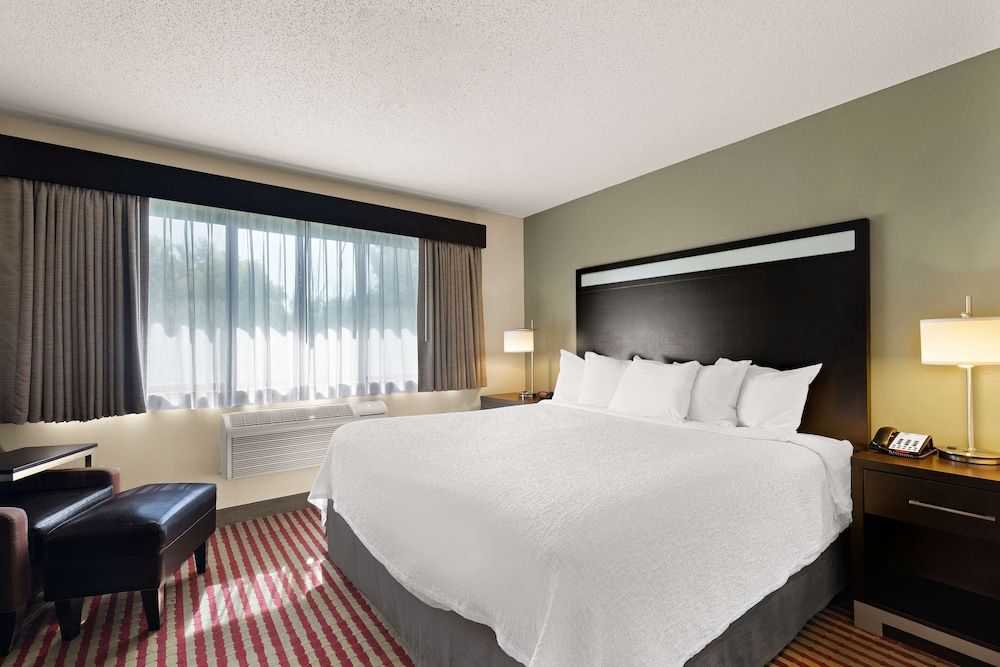 Suite, 1 King Bed, Non Smoking, Refrigerator & Microwave (with Sofabed)