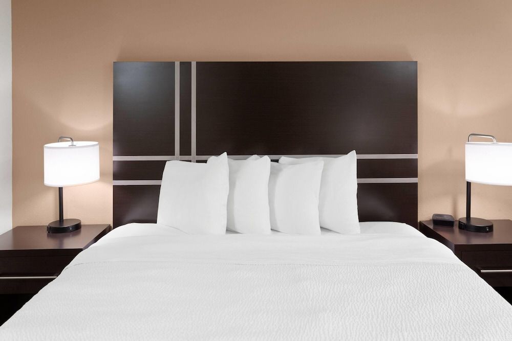 Room, 1 King Bed, Non Smoking