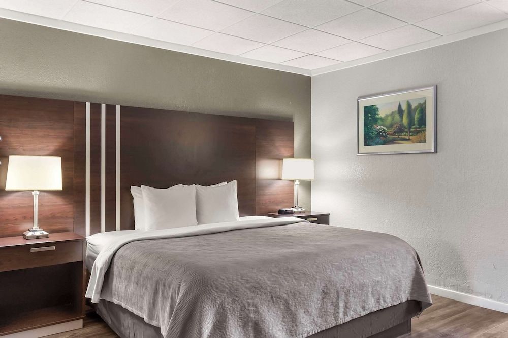 Standard Room, 1 King Bed, Non Smoking (No Pets)