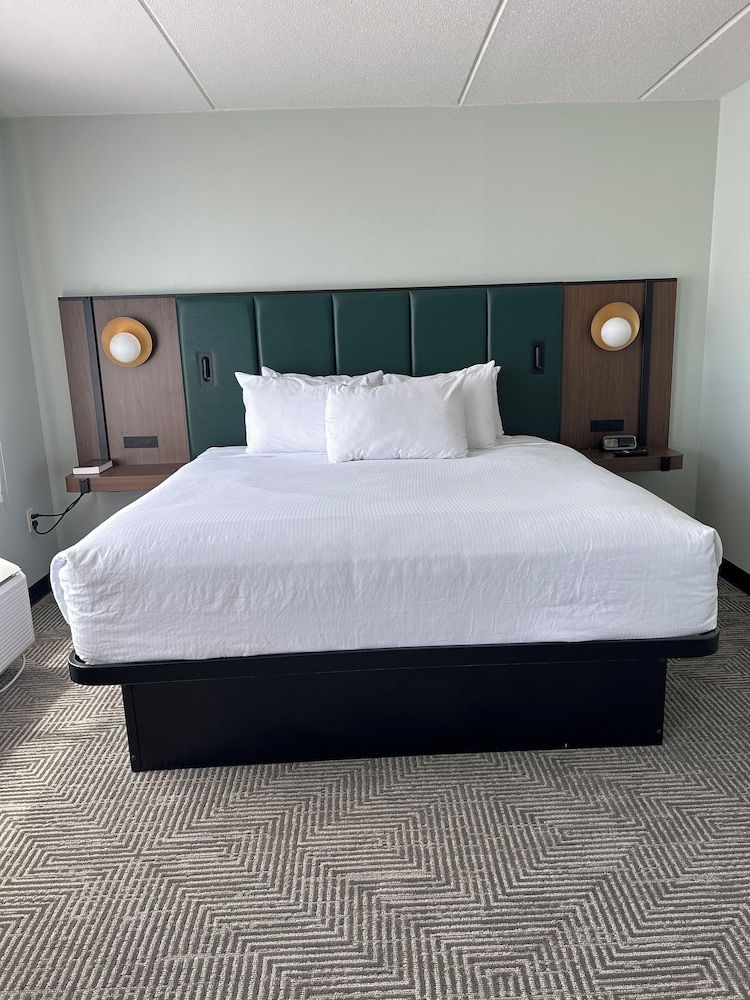 Studio Suite, 1 King Bed, Non Smoking (No Pets)