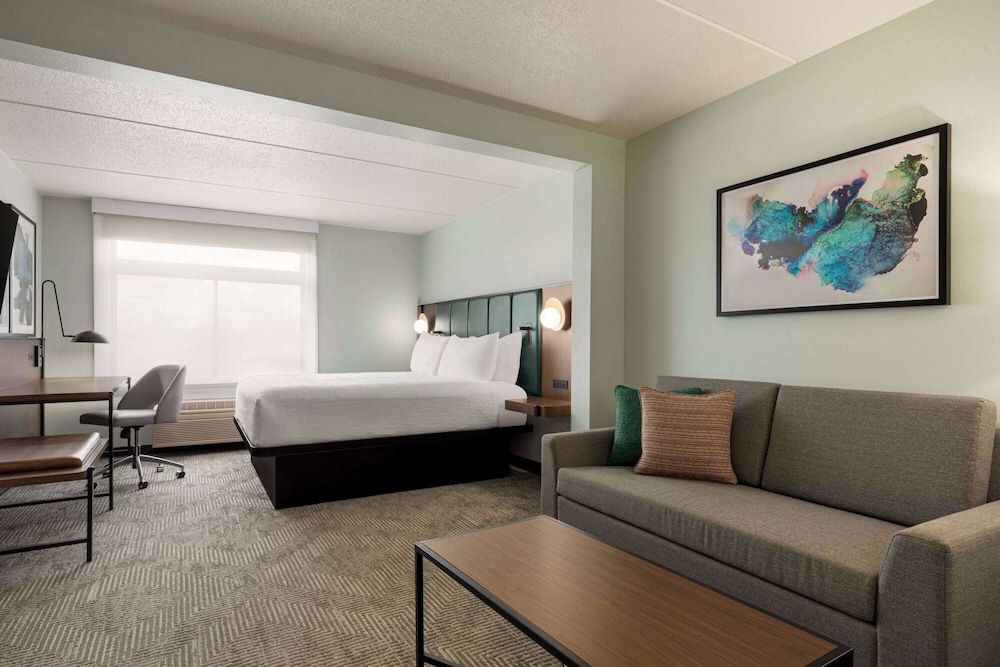 Room, 1 King Bed, Non Smoking (No Pets)