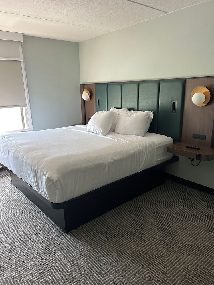 Room, 1 King Bed, Non Smoking (No Pets)