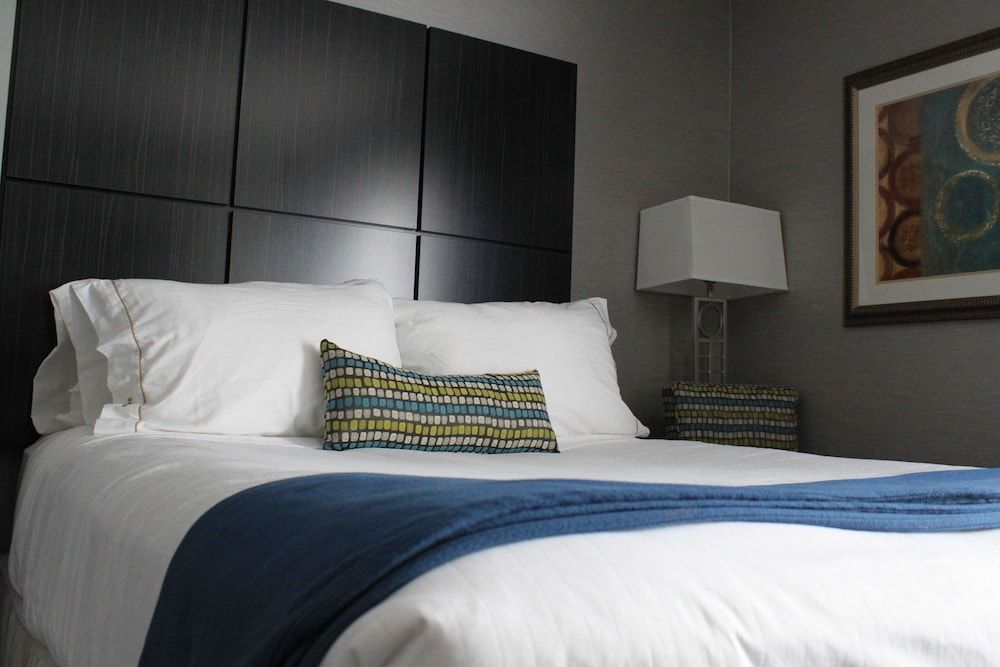 Suite, 1 King Bed