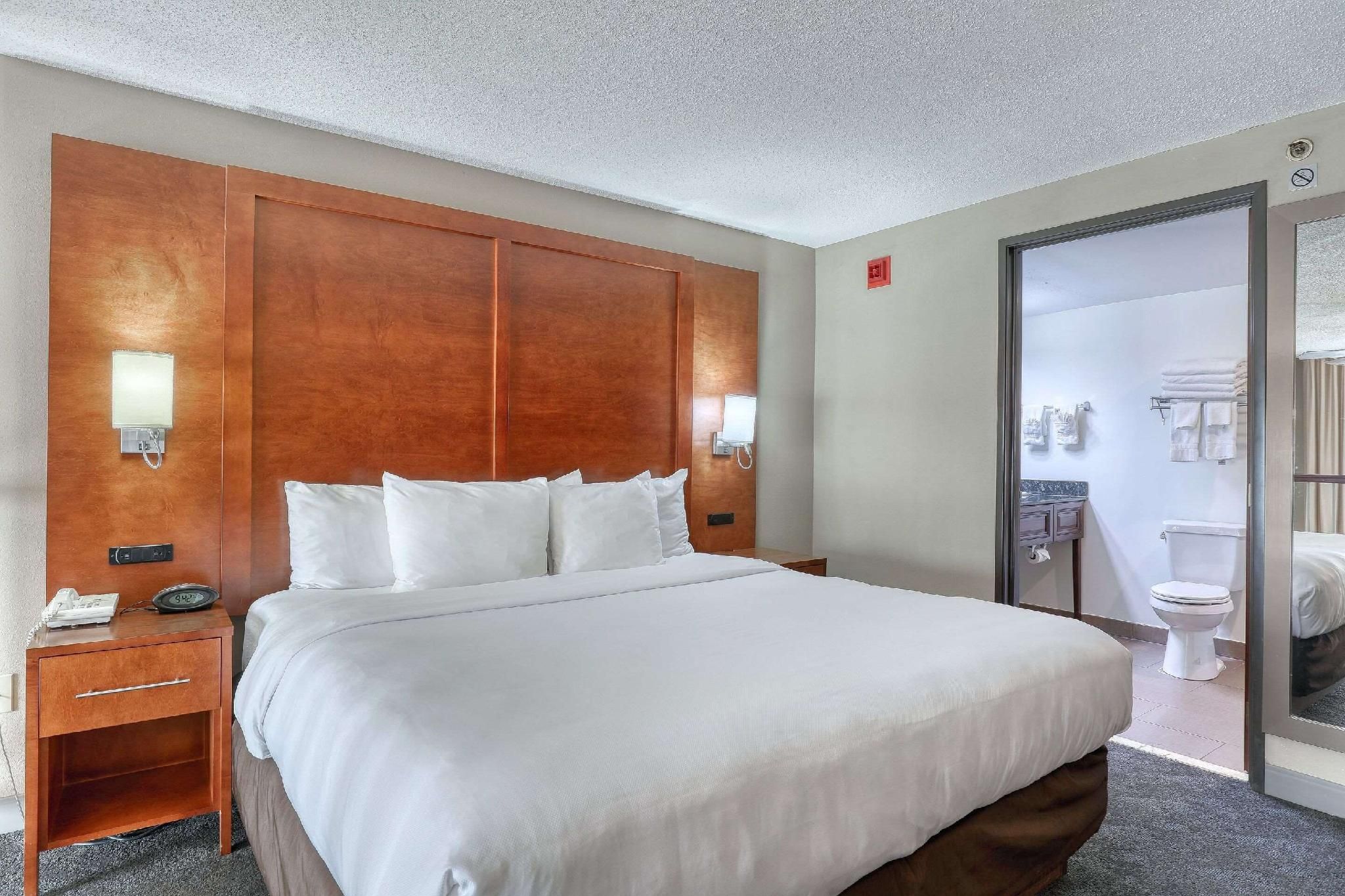 1 King Bed, Suite, Nonsmoking