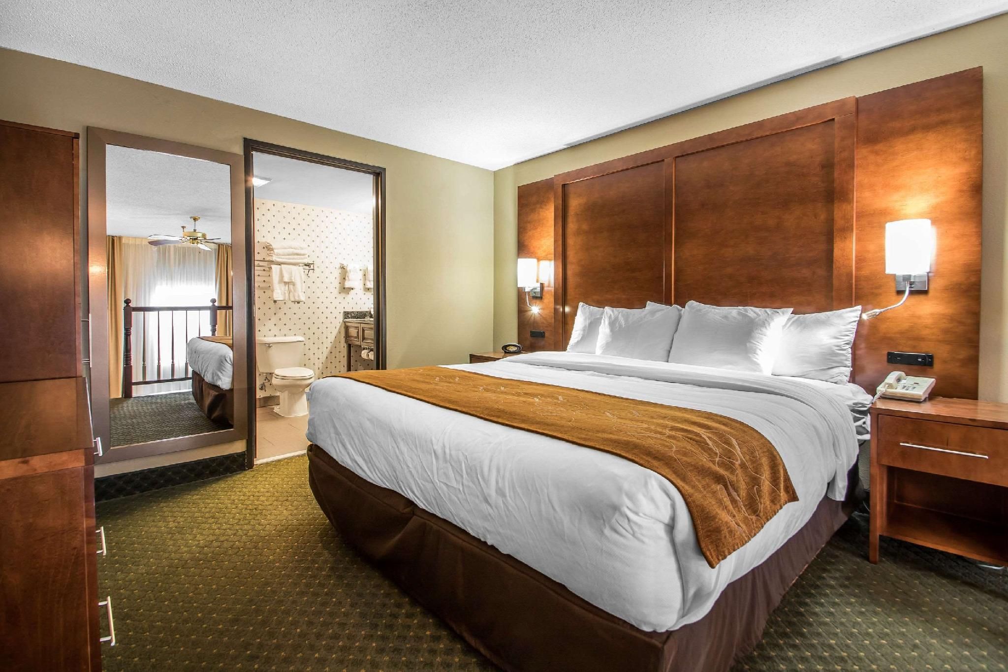 1 Bedroom Suite