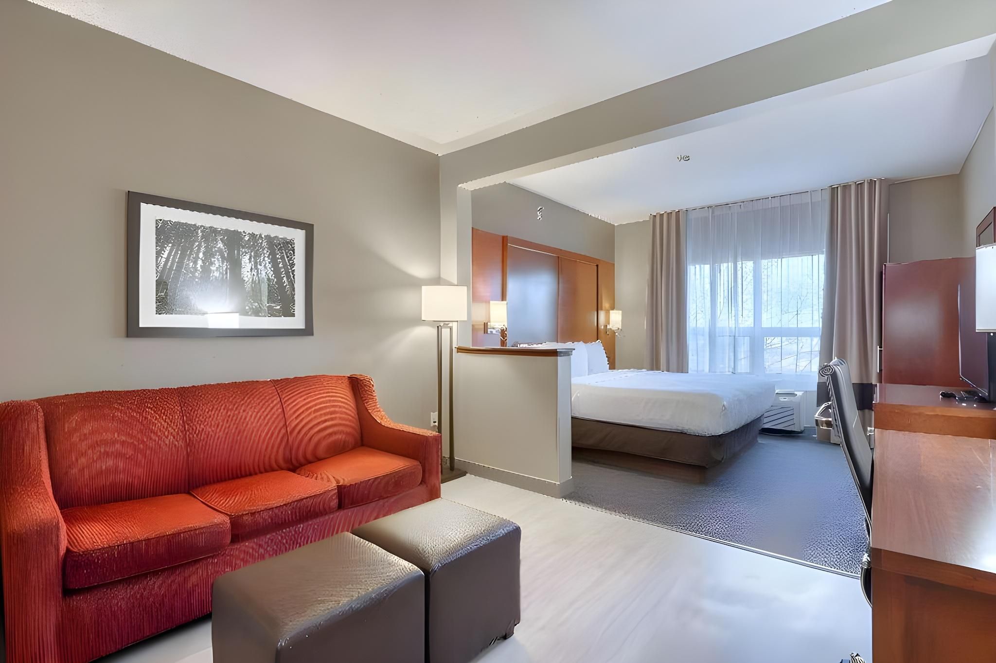 1 King Bed, Suite, Nonsmoking