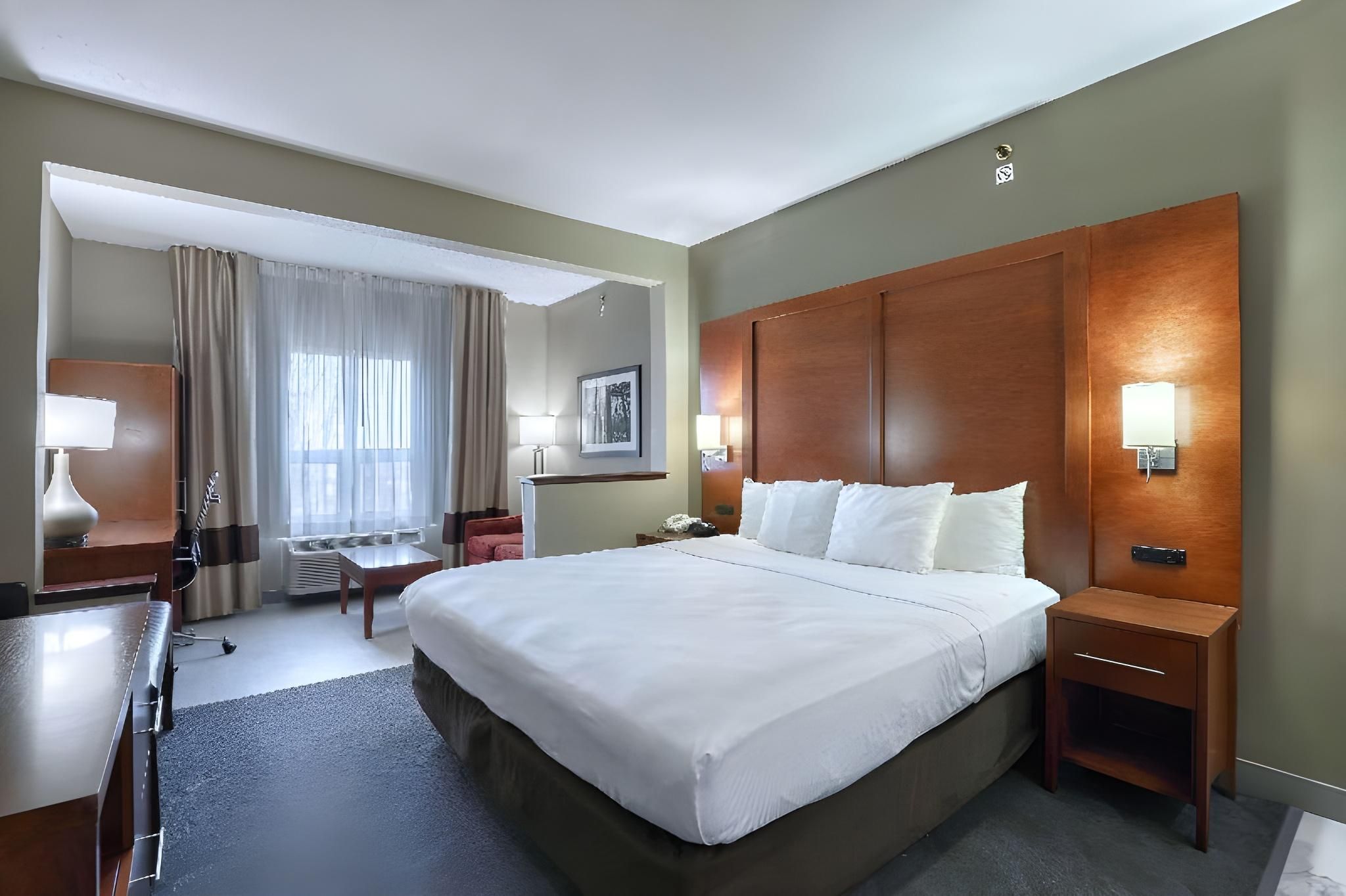 1 King Bed, Suite, Nonsmoking, Accessible
