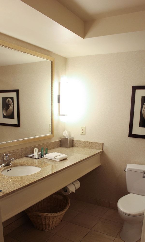 Room, 1 King Bed, Accessible, Bathtub