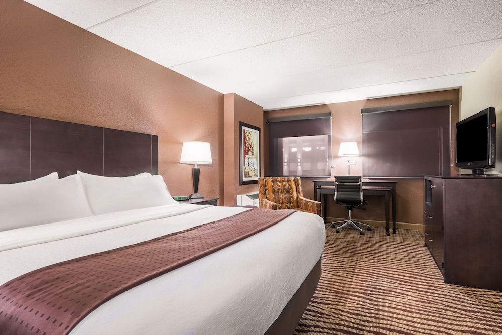 Suite, 1 King Bed
