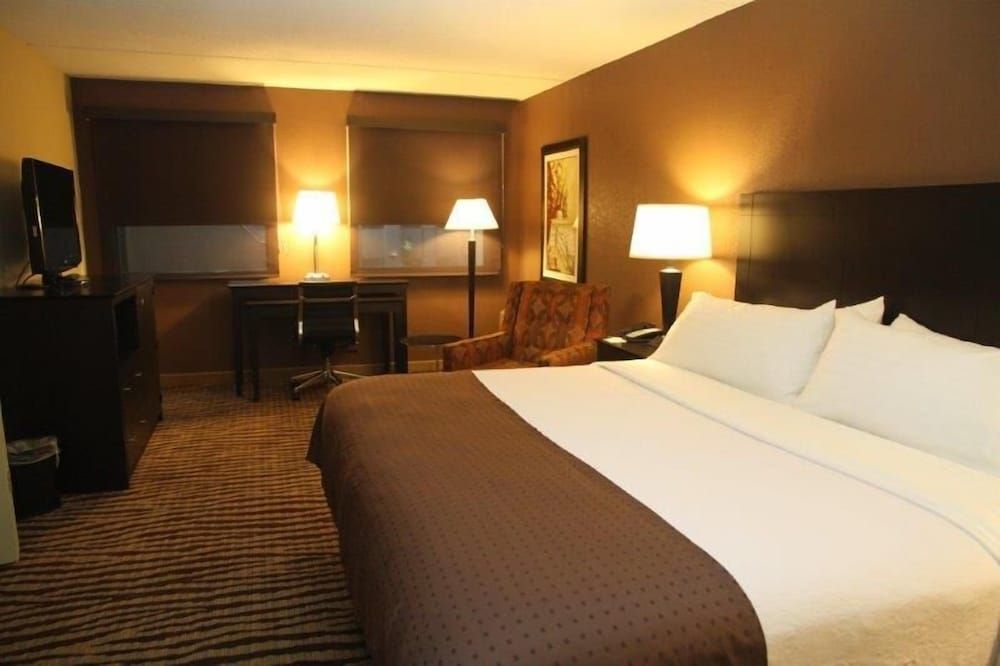 Suite, 1 King Bed