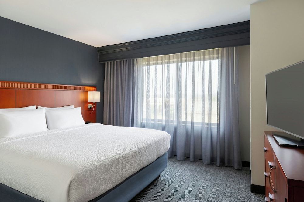Room, 1 King Bed with Sofa bed
