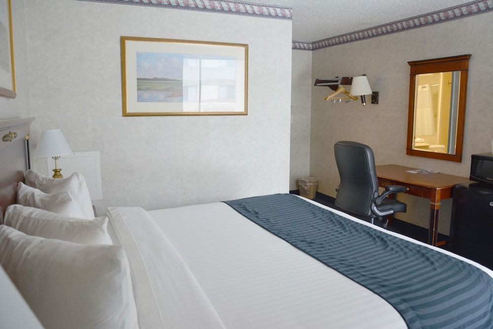 Room, 1 King Bed, Non Smoking