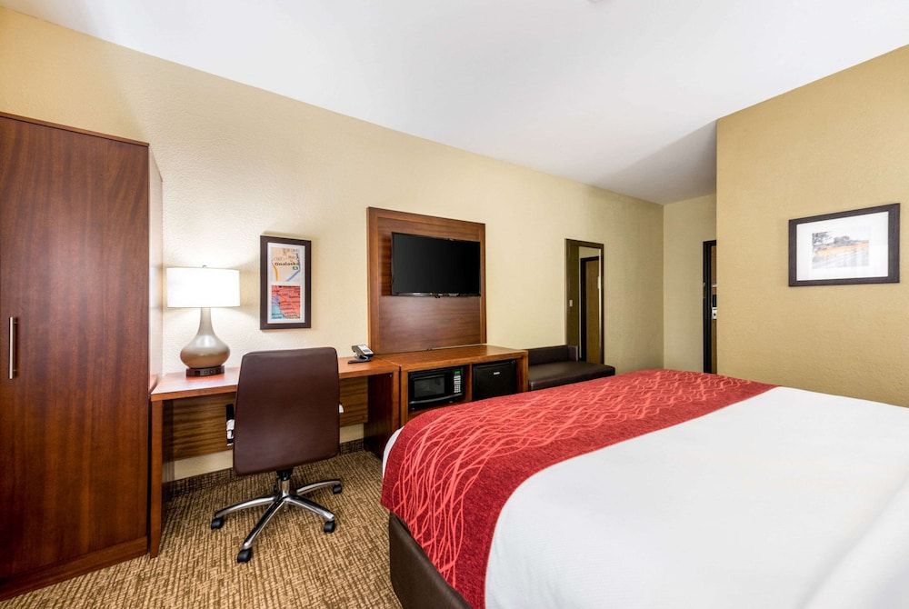 Room, 1 King Bed, Accessible, Non Smoking