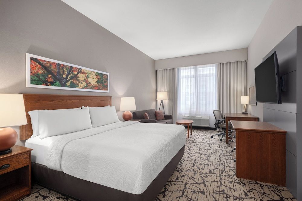 Standard Room, 1 King Bed with Sofa bed