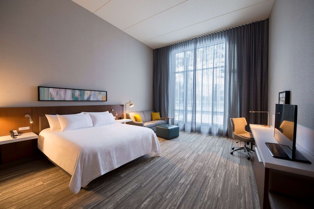 Room, 1 King Bed, Accessible (Roll-in Shower, Hearing/ Mobility)