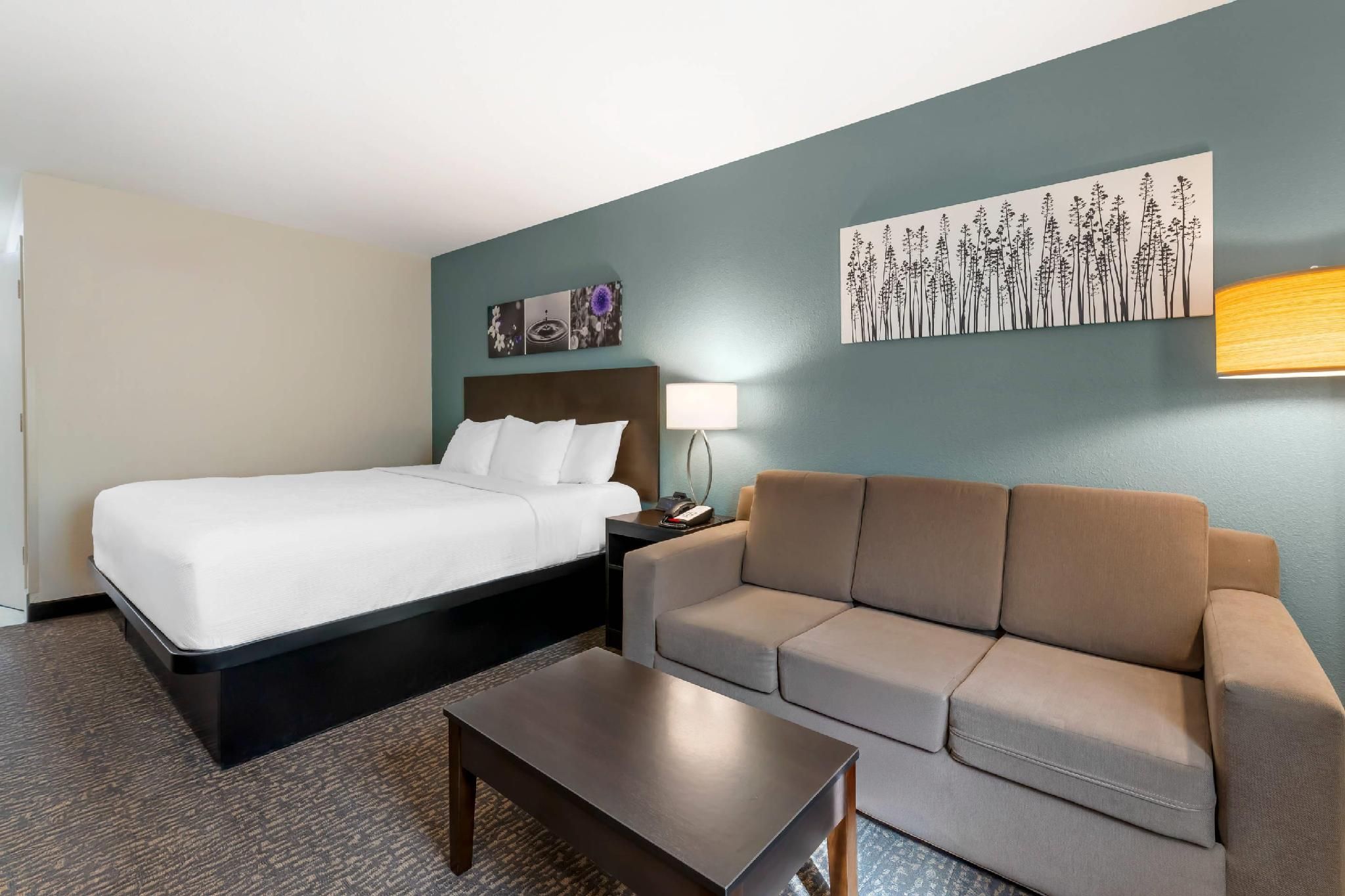 1 King Bed, Suite, Nonsmoking, Accessible