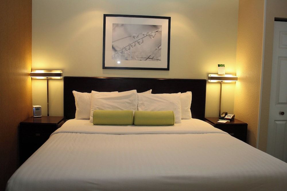 Suite, 1 King Bed with Sofa bed, Non Smoking