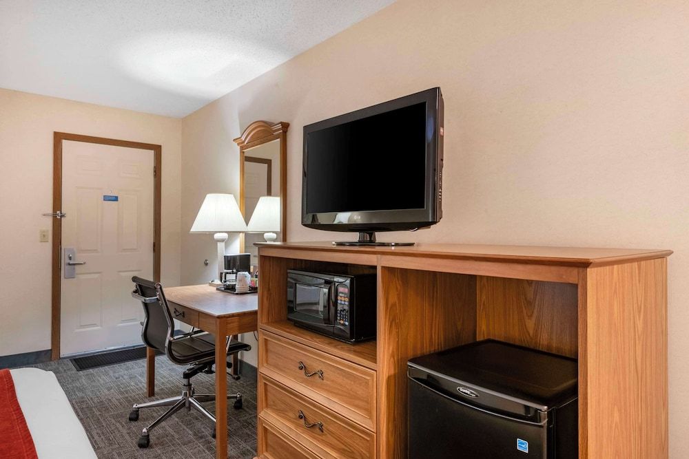 Standard Room, 1 King Bed, Non Smoking, Refrigerator & Microwave