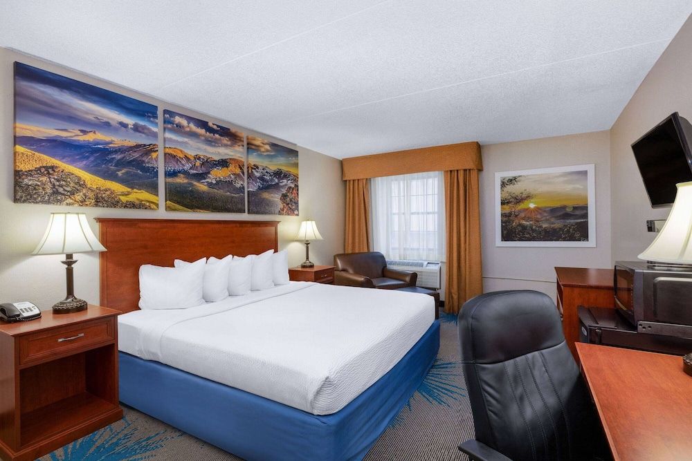 Standard Room, 1 King Bed, Refrigerator & Microwave