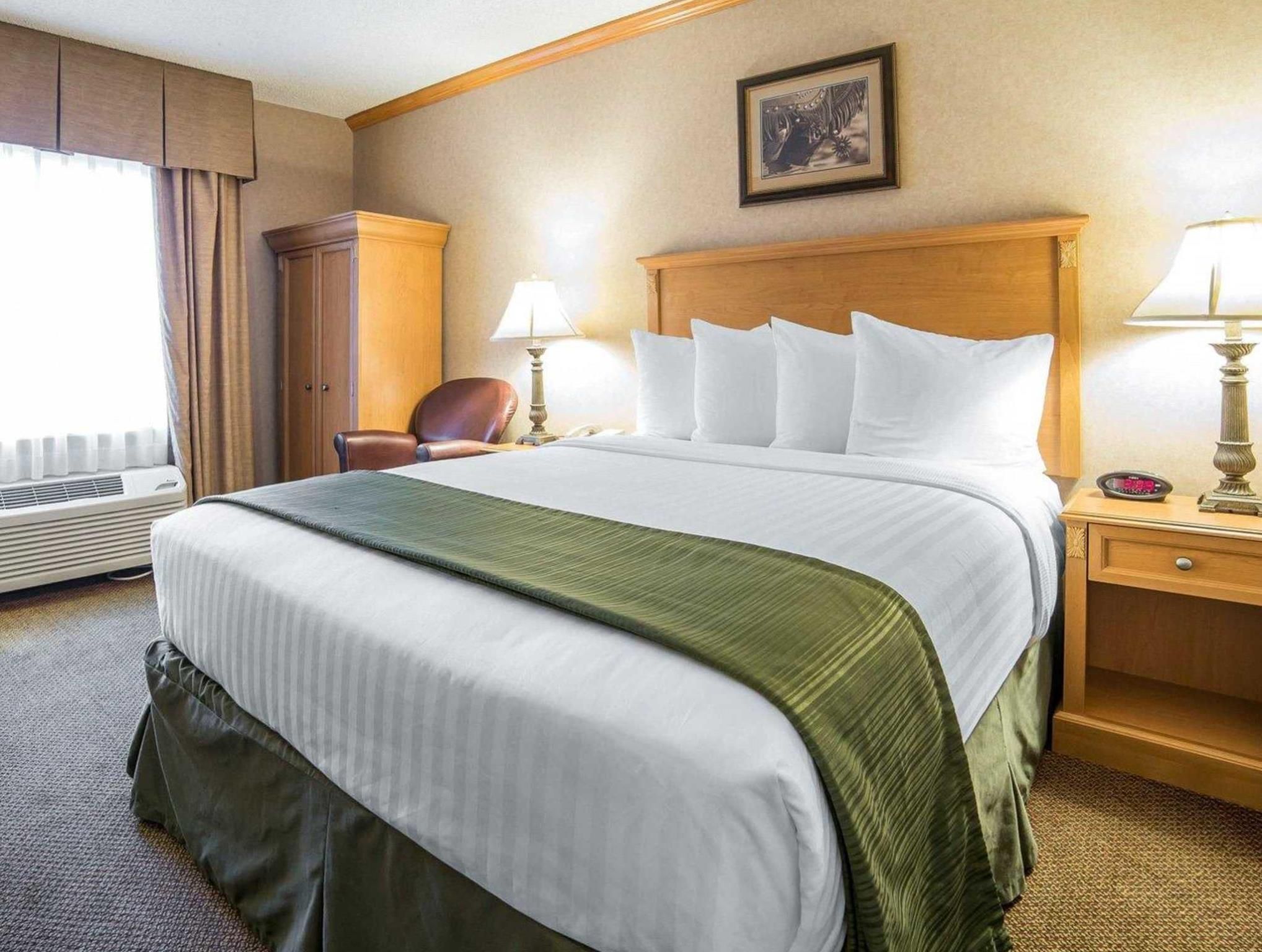 1 King Bed Nonsmoking