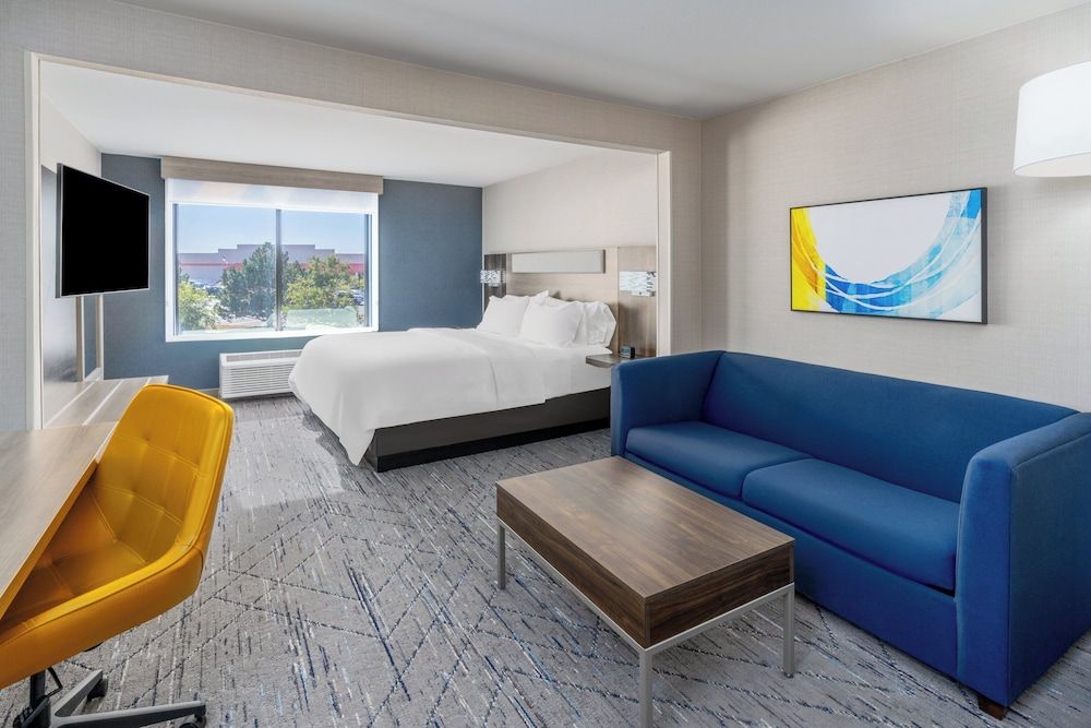 Suite, 1 King Bed with Sofa bed