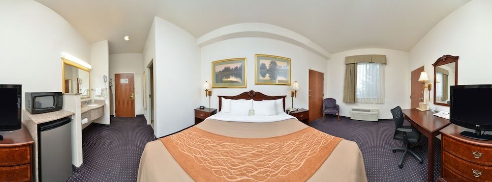 Standard Room, 1 King Bed, Non Smoking