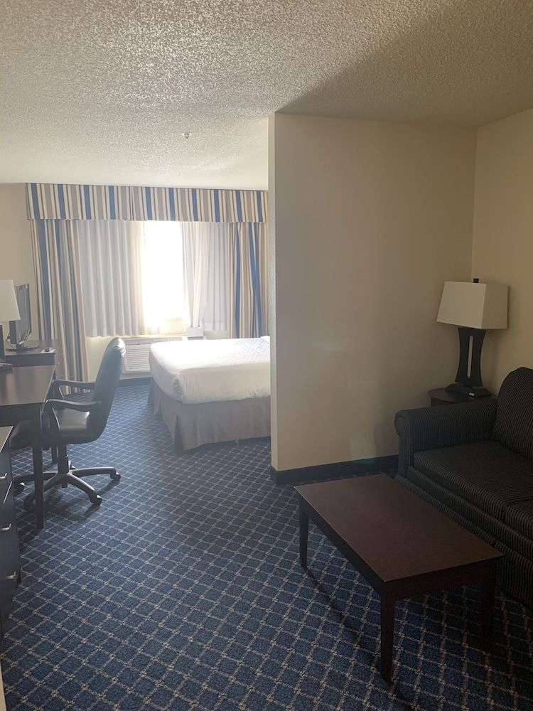 Suite, 1 King Bed