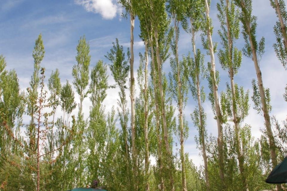 Outdoors