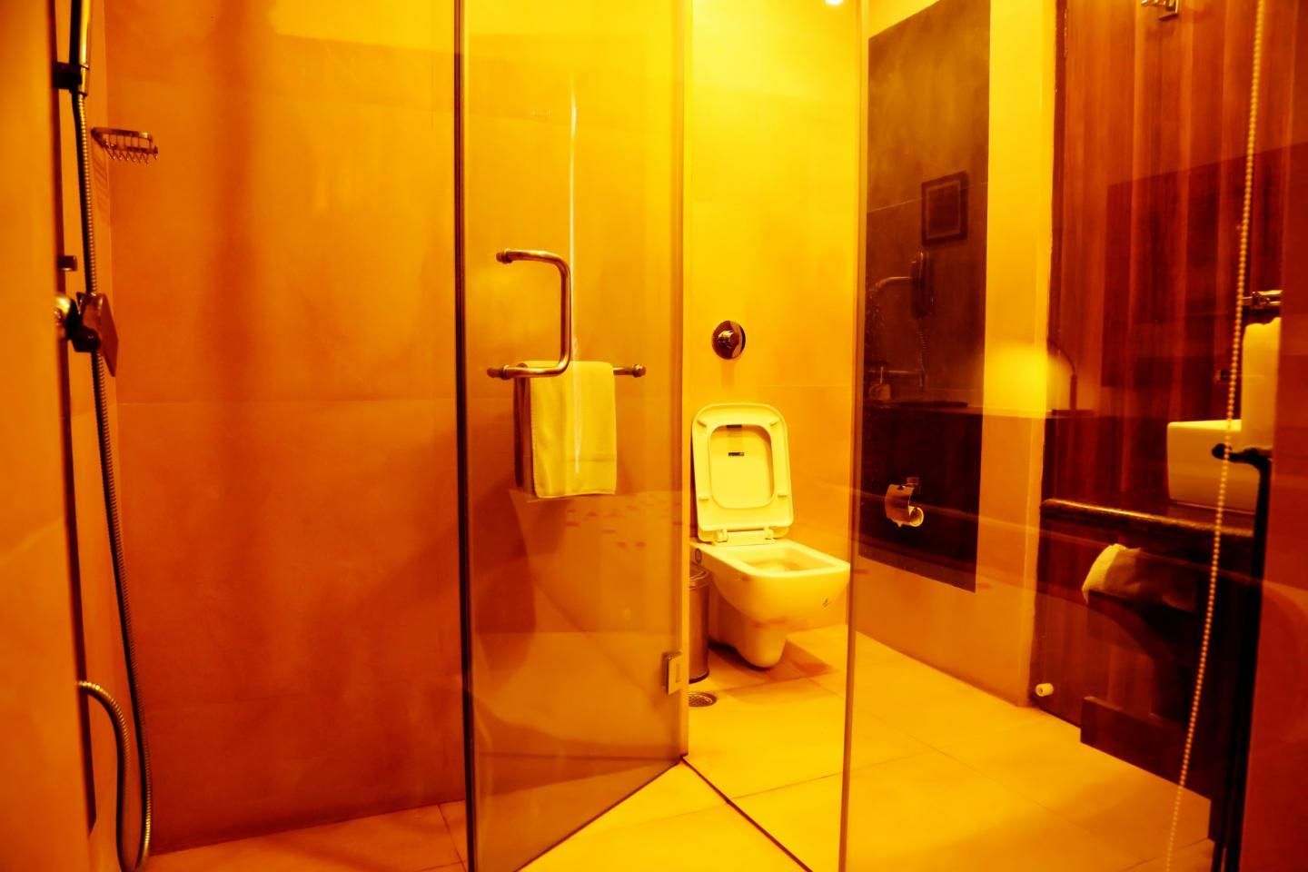 Shree Ram International Deluxe Room 19