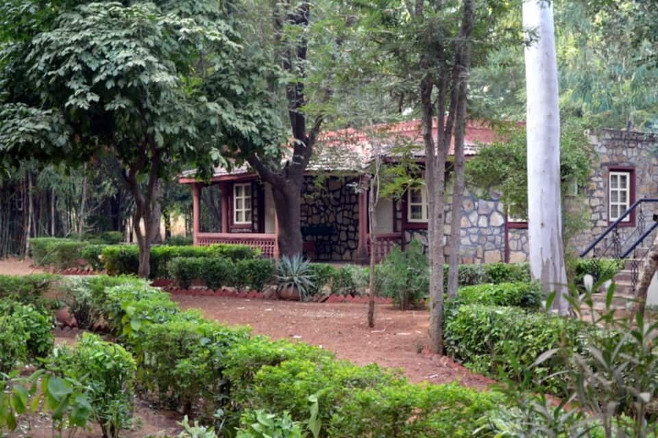 undefined Tiger Moon Resort 10