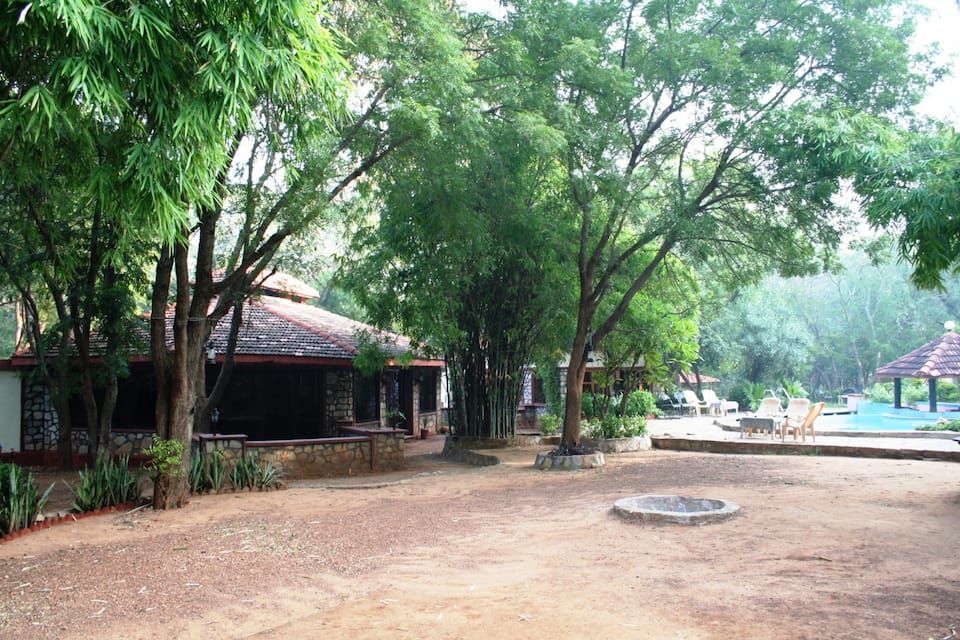 undefined Tiger Moon Resort 7