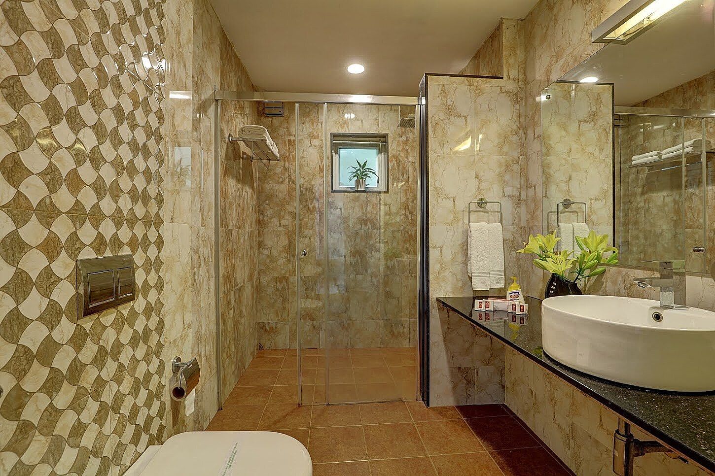 Swiss County Swiss Deluxe without Balcony 3