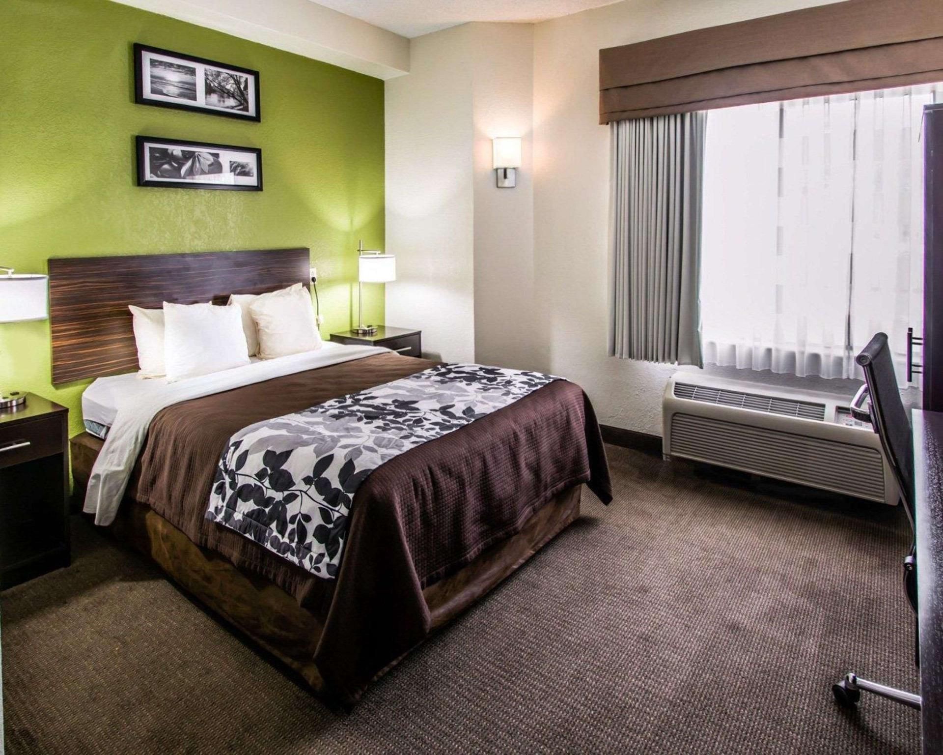 1 Queen Bed, Nonsmoking, Accessible